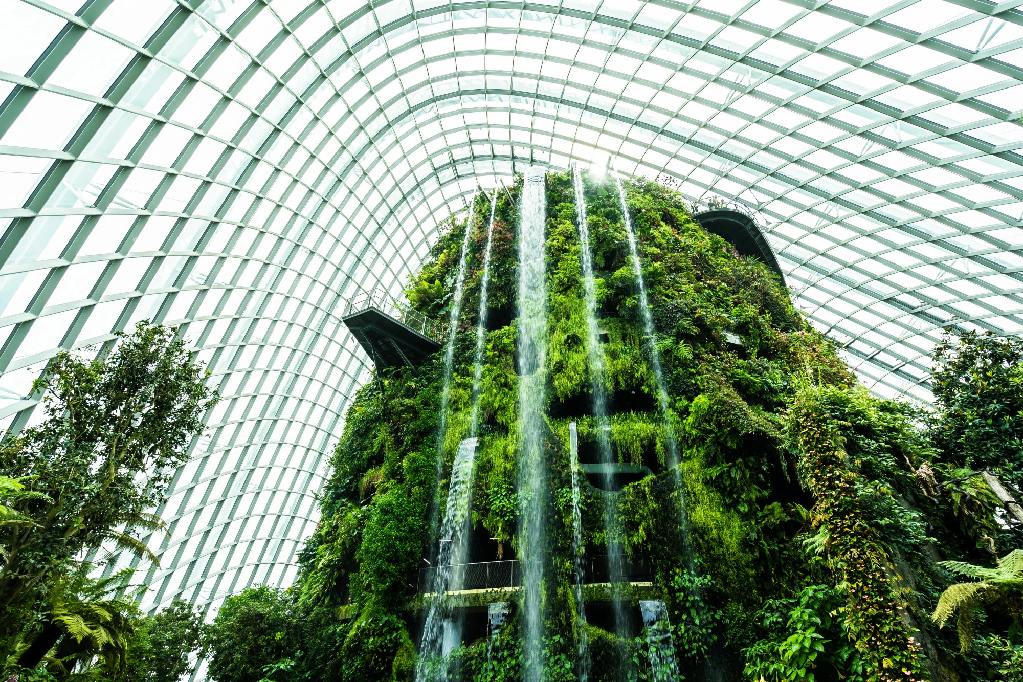 An indoor vertical garden with cascading waterfalls in a glass dome.